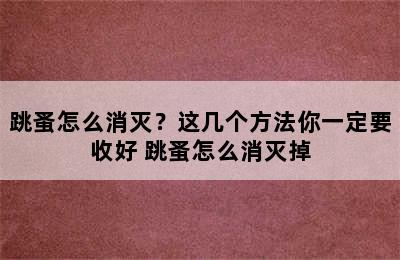 跳蚤怎么消灭？这几个方法你一定要收好 跳蚤怎么消灭掉